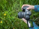 Canon Objetivo RF 24 mm F1.8 Macro IS STM - Lente Gran Angular, Foto Detalle y Vídeo Incluso con Poca luz, Lligero, Enfoque STM y estabilizador óptico 5 Pasos, Compatible con Sistema EOS R, Negro - Image 5